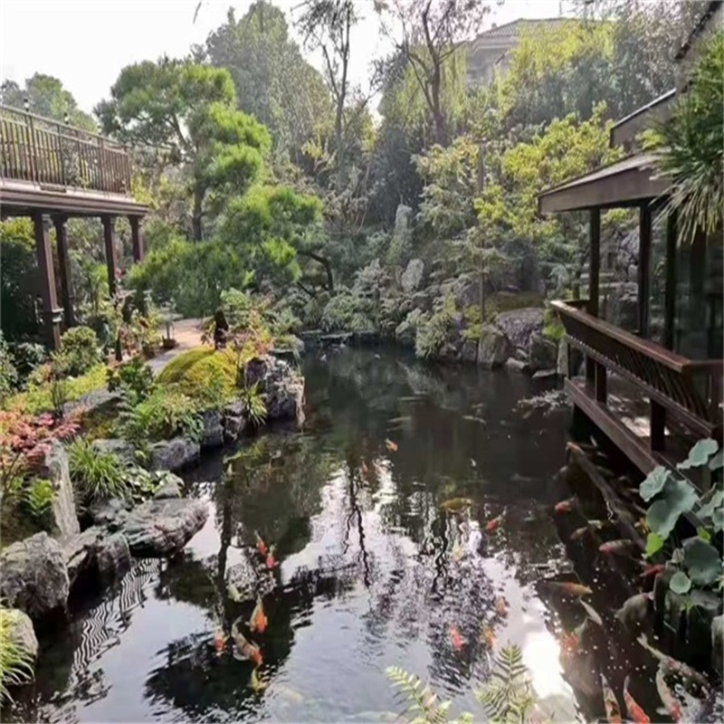 六安小庭院假山鱼池